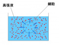 2022年3月7日 (月) 09:58時点における版のサムネイル
