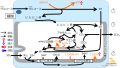 2022年6月3日 (金) 15:14時点における版のサムネイル