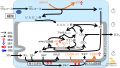 2025年2月12日 (水) 16:46時点における版のサムネイル
