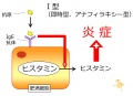 2013年2月27日 (水) 10:22時点における版のサムネイル