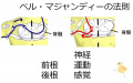 2014年5月3日 (土) 17:42時点における版のサムネイル