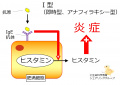 2017年8月16日 (水) 16:28時点における版のサムネイル