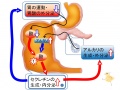2013年2月27日 (水) 10:03時点における版のサムネイル