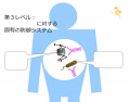 2016年12月12日 (月) 14:47時点における版のサムネイル