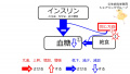 2020年6月3日 (水) 16:00時点における版のサムネイル