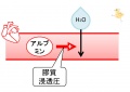 2013年2月27日 (水) 10:09時点における版のサムネイル