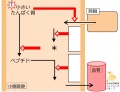 2013年4月19日 (金) 11:03時点における版のサムネイル