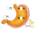 2015年3月11日 (水) 16:38時点における版のサムネイル