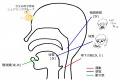 2016年3月3日 (木) 14:43時点における版のサムネイル