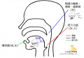 2023年2月27日 (月) 15:23時点における版のサムネイル