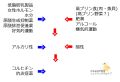 2020年8月14日 (金) 12:25時点における版のサムネイル