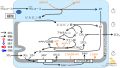 2022年7月1日 (金) 11:08時点における版のサムネイル