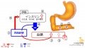 2020年8月11日 (火) 20:38時点における版のサムネイル