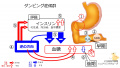 2021年10月10日 (日) 09:00時点における版のサムネイル