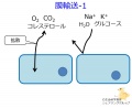2014年6月25日 (水) 11:12時点における版のサムネイル