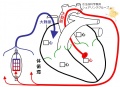2016年9月3日 (土) 11:18時点における版のサムネイル