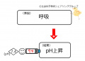 2014年11月26日 (水) 10:14時点における版のサムネイル