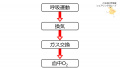 2020年9月21日 (月) 07:06時点における版のサムネイル