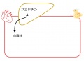 2013年2月27日 (水) 10:25時点における版のサムネイル