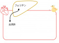 2015年9月2日 (水) 20:54時点における版のサムネイル