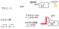 2018年2月16日 (金) 20:17時点における版のサムネイル