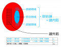 2020年6月12日 (金) 07:42時点における版のサムネイル
