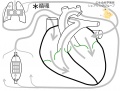 2013年9月24日 (火) 11:22時点における版のサムネイル