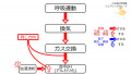 2020年9月21日 (月) 07:35時点における版のサムネイル