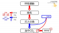 2020年10月23日 (金) 10:50時点における版のサムネイル