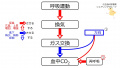 2021年3月17日 (水) 14:47時点における版のサムネイル