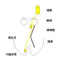 2011年4月7日 (木) 23:13時点における版のサムネイル