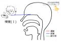 2016年3月16日 (水) 09:40時点における版のサムネイル