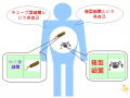 2011年4月8日 (金) 10:10時点における版のサムネイル