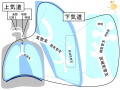 2013年2月27日 (水) 10:03時点における版のサムネイル