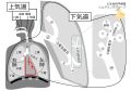2021年4月6日 (火) 09:04時点における版のサムネイル