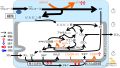 2025年2月13日 (木) 16:31時点における版のサムネイル