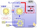 2013年7月11日 (木) 11:23時点における版のサムネイル