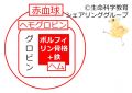 2024年1月6日 (土) 17:30時点における版のサムネイル