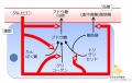 2014年9月16日 (火) 09:16時点における版のサムネイル