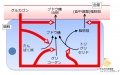 2014年10月23日 (木) 16:51時点における版のサムネイル