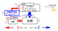 2019年6月27日 (木) 16:07時点における版のサムネイル