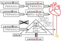 2011年4月8日 (金) 11:51時点における版のサムネイル