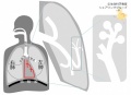 2016年11月23日 (水) 09:40時点における版のサムネイル
