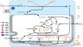 2022年7月1日 (金) 11:29時点における版のサムネイル