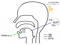 2016年3月3日 (木) 14:18時点における版のサムネイル
