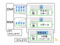 2021年3月17日 (水) 15:45時点における版のサムネイル