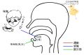 2016年3月16日 (水) 10:46時点における版のサムネイル