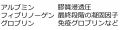 2013年6月4日 (火) 10:43時点における版のサムネイル