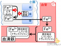 2015年9月23日 (水) 01:44時点における版のサムネイル