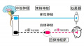 2011年4月8日 (金) 11:49時点における版のサムネイル